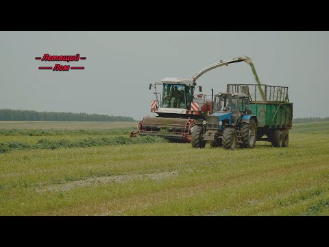 Видео: Уборка силоса. Ростсельмаш RSM 1401, КАМАЗ, Кировец.