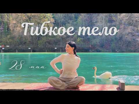 Видео: Йога - растяжка для БАЛАНСА, стройности и ГИБКОСТИ за 28 минут 🦢