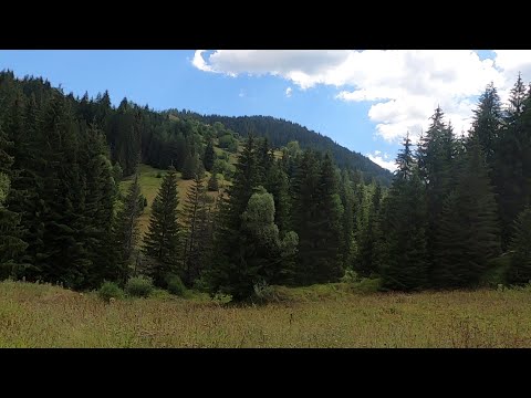 Видео: Компас /220/ Родопи - част десета. От хижа Перелик до село Солища.