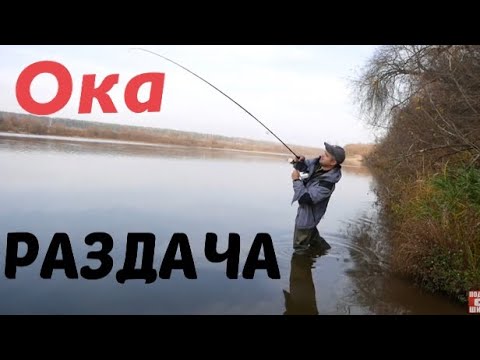 Видео: Ловля спиннингом на Оке. Спиннинг с берега в Подмосковье. Ловля щуки на ДЖИГ осенью.