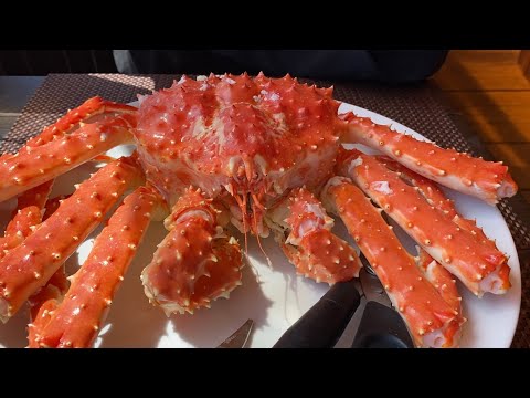 Видео: ГИГАНТСКИЙ КРАБ !!! ))) Японское море )))