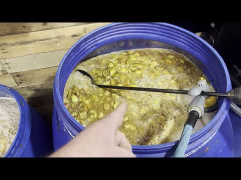 Видео: Новый и улучшенный рецепт яблочного бренди-самоката от Филбилли