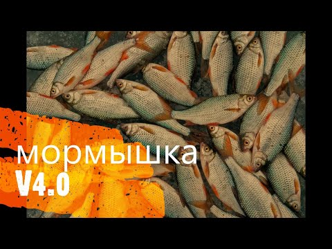 Видео: Плотва на мормышку на зимней рыбалке по первому льду 2021