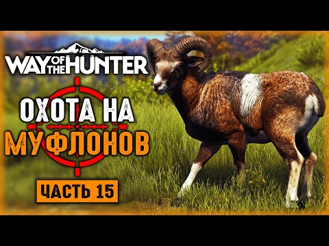 Видео: ВЕРНИ МОЕ РУЖЬЕ! ОХОТА НА МУФЛОНОВ! | Way of the Hunter 🐻 | Часть #15