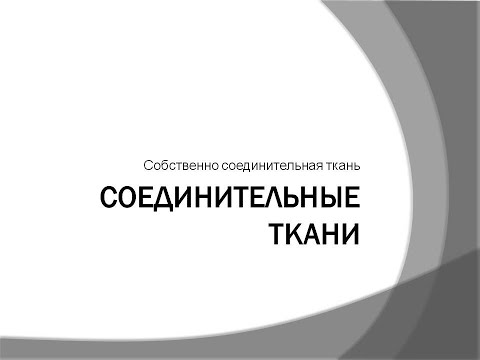 Видео: Соединительные ткани. Собственно соединительная ткань