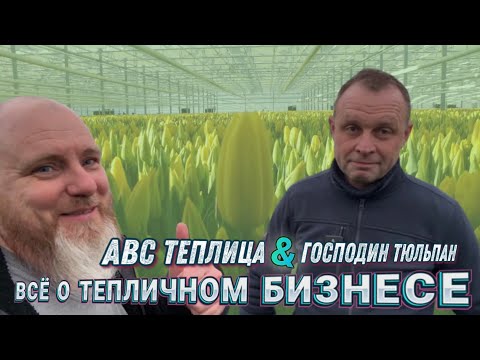 Видео: АВС Теплица & Господин Тюльпан о тепличном бизнесе 🤝