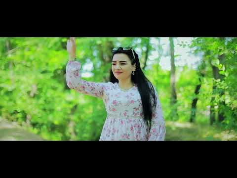 Видео: Фарходчон Дадобоев Мачнун Лайло