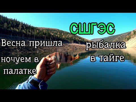 Видео: Ждали эту рыбалку всю зиму! Тайга. Енисей. СШГЭС