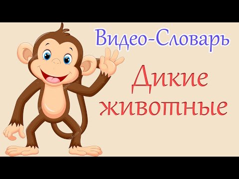 Видео: Французский Видео-Словарь  "Дикие Животные"