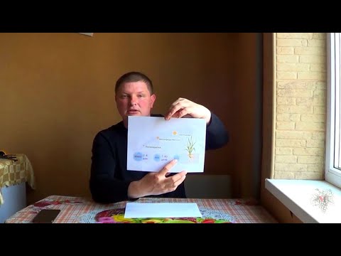 Видео: АЗОТ! Как ПРАВИЛЬНО Выбрать АЗОТНОЕ УДОБРЕНИЕ?