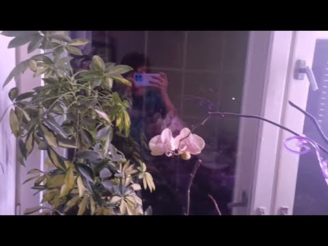 Видео: Обзор коллекции растений на втором этаже