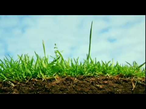 Видео: Ґрунт. Відео для дітей. / Soil. Videos for children.