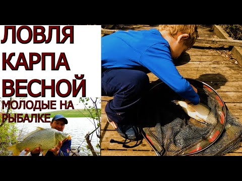 Видео: Лучший МОНТАЖ для ловли КАРПА ВЕСНОИ !!! УЧИМ МОЛОДЫХ РЫБАЧИТЬ!!!