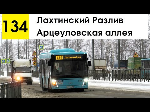 Видео: Автобус 134 "Арцеуловская аллея - Лахтинский Разлив"