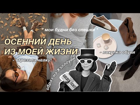 Видео: VLOG: осенние будни без спешки | мой новый образ, шопинг и образ на Хэллоуин