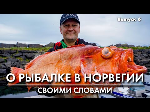 Видео: Рыбалка в Норвегии. Пилькеры
