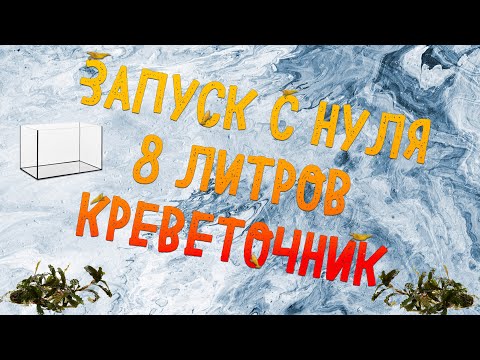 Видео: ЗАПУСК С АКВАРИУМА С НУЛЯ | КРЕВЕТОЧНИК