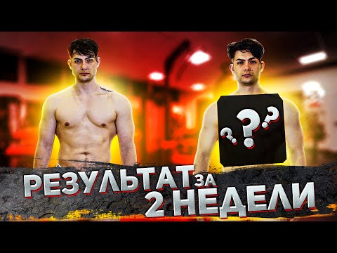 Видео: МЫШЕЧНАЯ ПАМЯТЬ ЭТО БРЕД? ИДЁМ В НАТУРАХУ ИЛИ НЕТ?