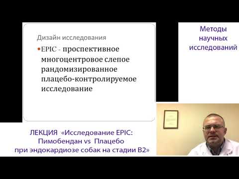 Видео: EPIС (Пимобендан vs Плацебо) у Собак с Эндокардиозом на Стадии В2