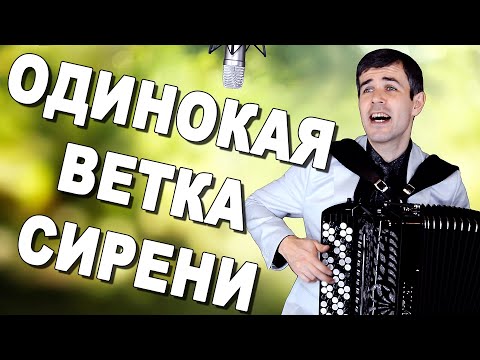 Видео: БОЖЕ, ВОТ ЭТО ГОЛОС! ПРОСТО ДУШУ РВЕТ! ("Одинокая ветка сирени" под баян)