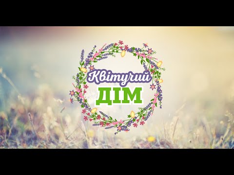 Видео: 🍂 Різдв'яні віночки | Квітучий дім 1 Серія | 6соток