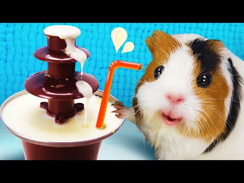 Видео: ЧТО ЕСЛИ ЗАЛИТЬ АПЕЛЬСИНОВЫЙ СОК В ШОКОЛАДНЫЙ ФОНТАН? ЭКСПЕРИМЕНТ ОТ СВИНКА БУЗЯ