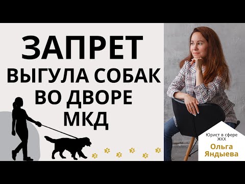 Видео: ЗАПРЕТ выгула собак во дворе МКД!