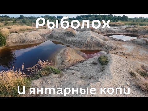 Видео: Завелась ли рыба в бывших янтарных копях? Разведка. Калининградская область. Август 2024.