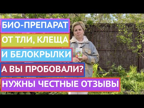 Видео: БИОПРЕПАРАТ ОТ ТЛИ, БЕЛОКРЫЛКИ И КЛЕЩА ЭТО НЕ МИФ!