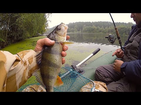 Видео: Рыбалка!.Щука, Язь, Голавль, Окунь. Спиннинг с лодки. Другой мир.