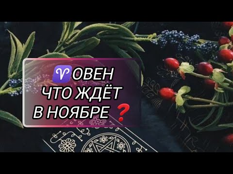 Видео: ♈ОВЕН. ЧТО ЖДАТЬ В НОЯБРЕ 2024 #таропрогноз #знакизодиака #гаданиенабудущее #овенгороскоп #video