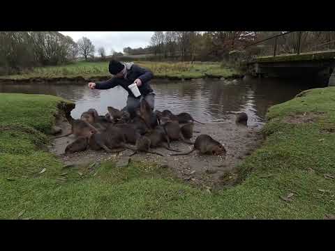Видео: Моя трансляция
