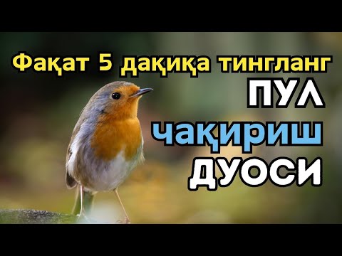 Видео: 🔴Иш йулларингз очилади | кутмаган жойингиздан бойлик кела бошлайди | дуолар