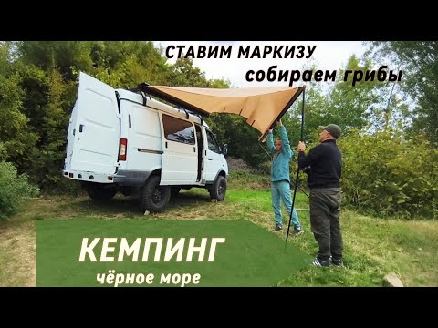 Видео: Бесплатный кемпинг Чёрное море, ставим маркизу на соболя, собираем подберёзовики