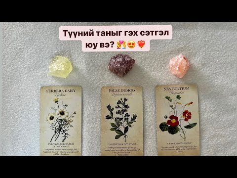 Видео: Түүний таныг гэх сэтгэл юу вэ? 👩‍❤️‍👨😍❤️‍🔥 | Timeless tarot reading 🔮
