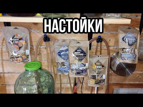 Видео: Пробуем настойки Алтайский Винокур
