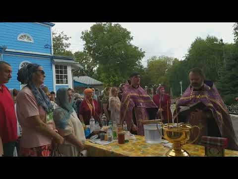 Видео: Молебен на освящение воды и мёда 14.08.2024г.