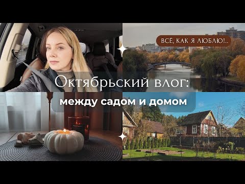 Видео: Выходные у родителей, ленивая пицца и закрытие сезона | уютный октябрьский влог 🍂