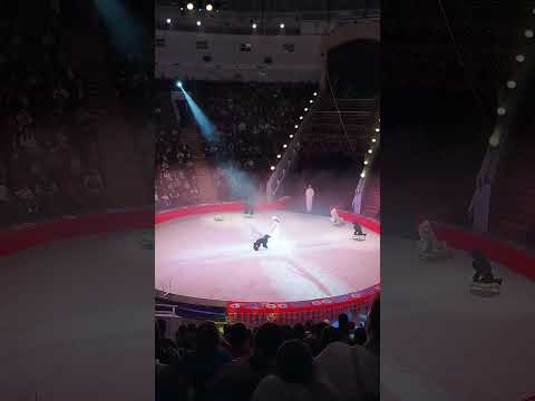 Видео: 21 октября 2025 г.