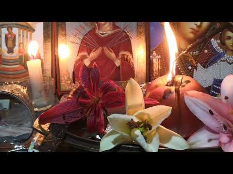 Видео: Снять крадник на красоту и здоровье ✴️✳️✴️✳️✴️✳️✴️✳️✴️✳️