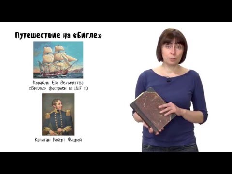 Видео: Эволюция. Лекция 2. Эволюционная теория Чарльза Дарвина. Часть 2. 10 - 11 класс