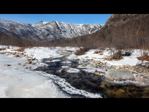 Видео: В поисках уходящей зимы.  Пять дней в тайге. 22-26 марта 2024 года