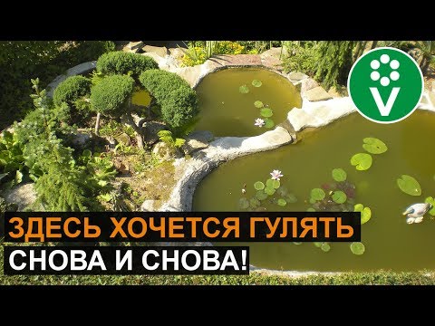 Видео: Этот СКАЗОЧНЫЙ САД растопит ваше сердце! Прогулка по саду мастера топиарного искусства