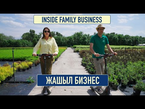 Видео: Роман Шнайдерман: Эң кыйыны салат жалбырактарын өстүрүү эмес, сатуу экен... | Inside Family Business