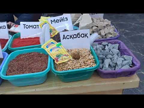 Видео: Сарыағаш қаласы.Алып базары.