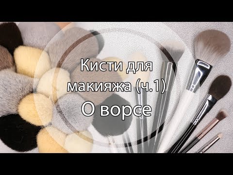 Видео: Кисти для макияжа (ч.1) О ворсе кистей.
