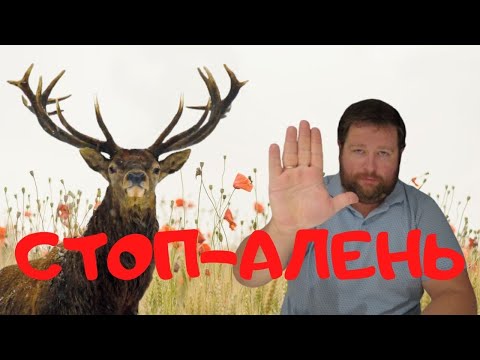 Видео: Самые противоречивые Алени