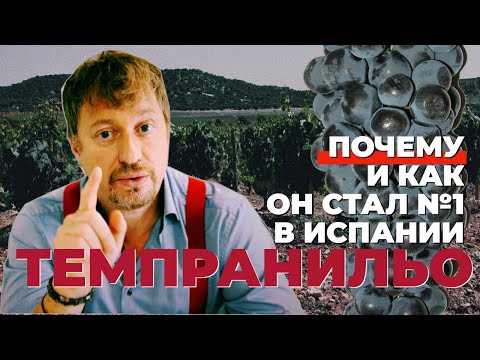 Видео: Сорт винограда [ТЕМПРАНИЛЬО] - №1 в Испании