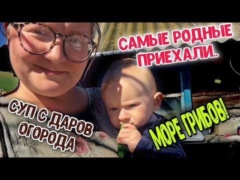 Видео: 😍Приехали бабуля и дедуля❗️ Немного облагородили баньку🏚️ Мои броколли 🥦 и баклажаны🍆