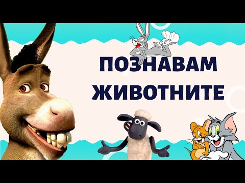 Видео: Познавам животните. Забавно детско видео.